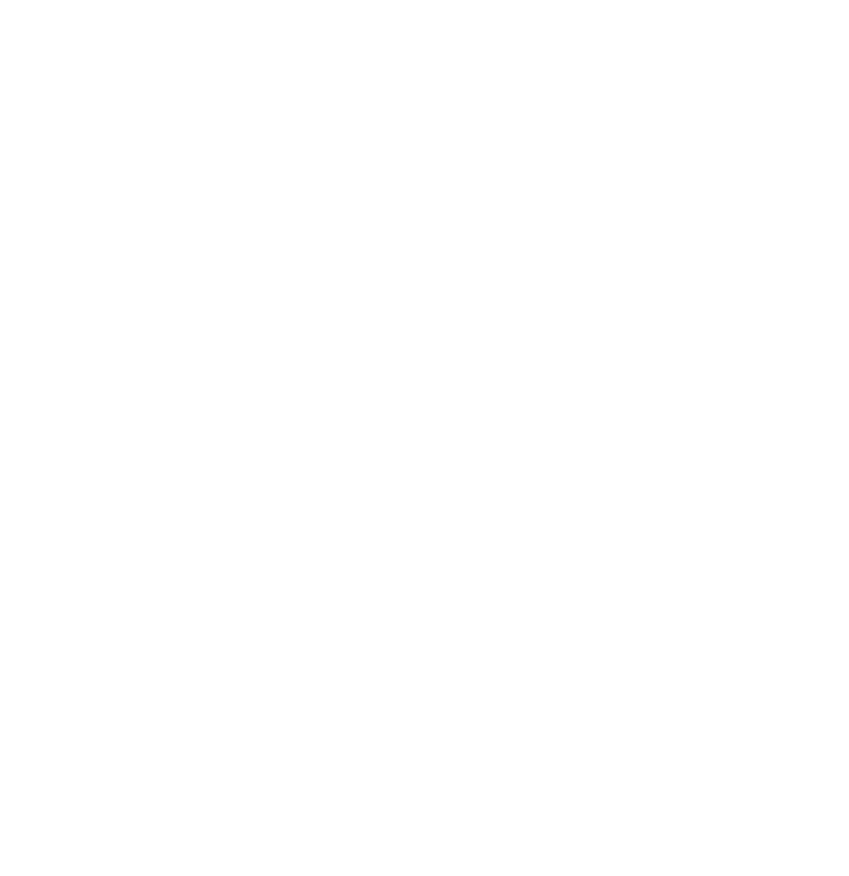 Nastri-trasporto-icon-w