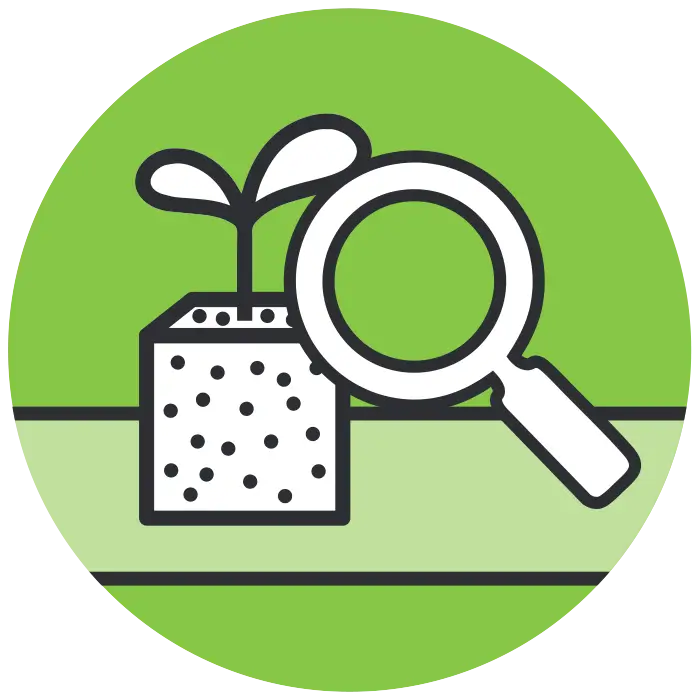 transplanting-and-sorting